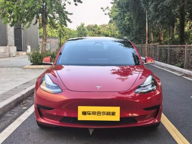 Tesla Model 3 Standard Range RWD Upgraded — фото 2
