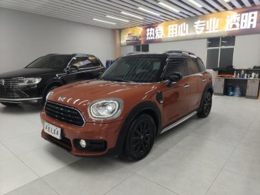 MINI COUNTRYMAN 2019, фото 1