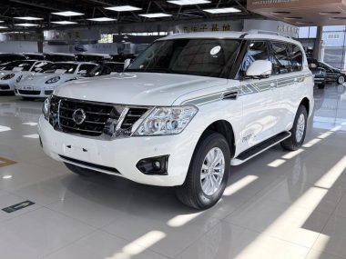 Nissan Patrol 2019, фото 1
