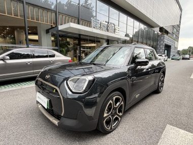 MINI ACEMAN 2024, фото 1