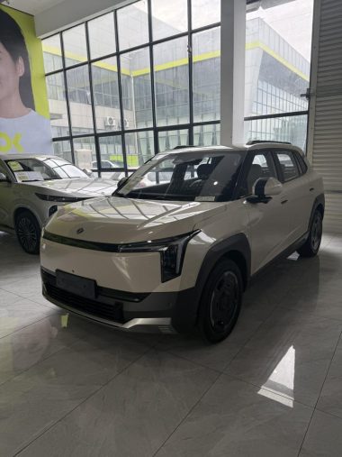 Dongfeng eπ 06 2025, фото 1