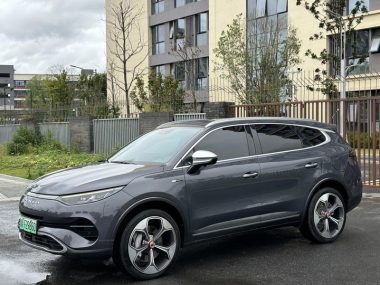 Denza X PHEV 2022, фото 1