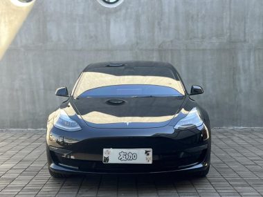 Tesla Model 3 Performance High Performance AWD — фото 2