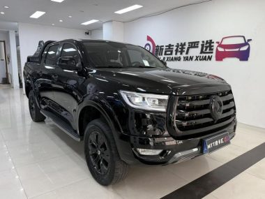 Great Wall POER 2.0T GW4C20B — фото 3