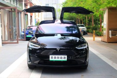 Tesla Model X Dual Motor AWD — фото 2