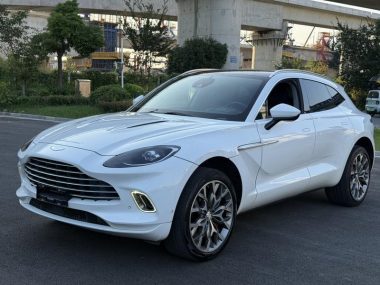 Aston Martin DBX 2021, фото 1