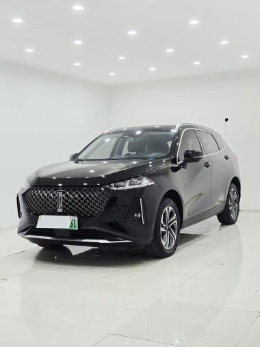 WEY DHT-PHEV 2022, фото 1