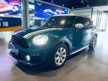 MINI COUNTRYMAN 2019, фото 1
