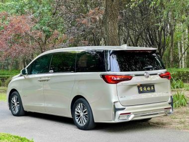 Buick GL8 ES Luzun 653T Comfort — фото 3