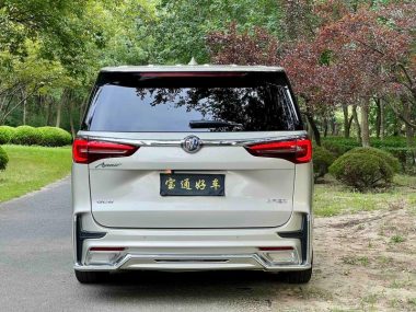 Buick GL8 ES Luzun 653T Comfort — фото 4