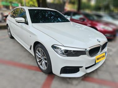 BMW 5-Series 525Li M Sport Package — фото 3