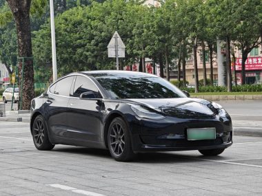 Tesla Model 3 Standard Range RWD Upgraded — фото 3