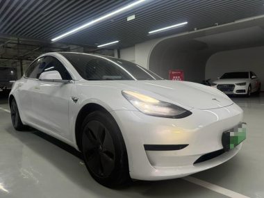 Tesla Model 3 (Import) Standard Range RWD Upgraded — фото 3