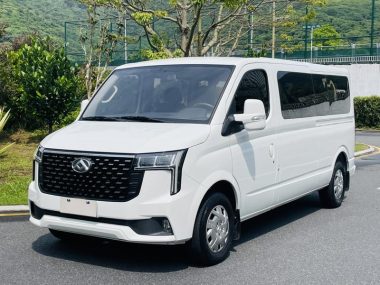 Maxus V80 2024, фото 1