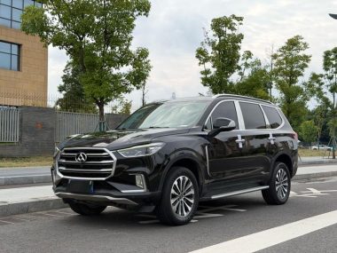 Maxus D90 2019, фото 1