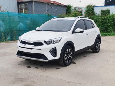 Kia Pegas 2022, фото 1