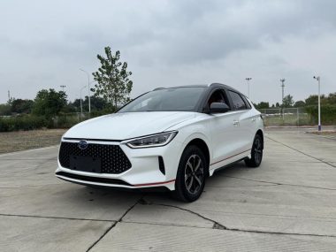 BYD e2 2022, фото 1