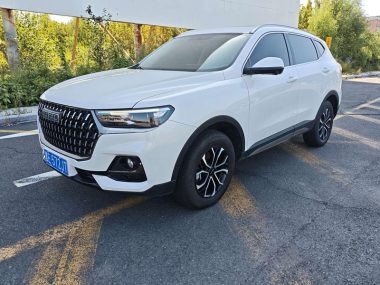 Haval H6 2023, фото 1