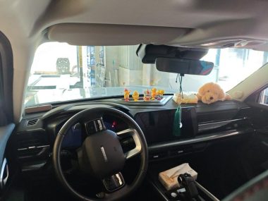 Haval Cool Dog 1.5T — фото 4