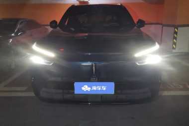 WEY Lanshan 4WD Ultra Long Range — фото 2