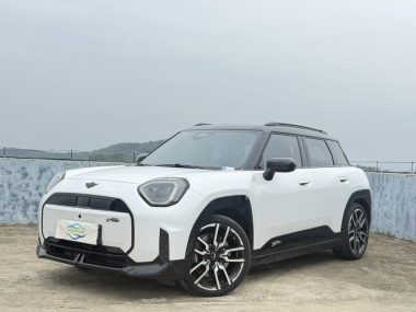 MINI ACEMAN 2024, фото 1