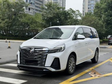 Buick GL8 2024, фото 1