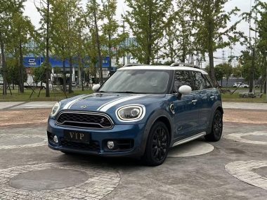 MINI COUNTRYMAN 2019, фото 1