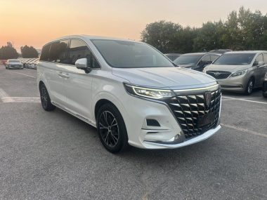 Roewe iMAX8 400TGI — фото 3