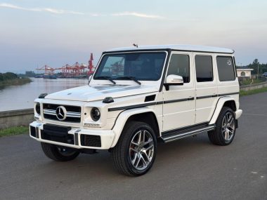 Mercedes-Benz G-Class 2018, фото 1