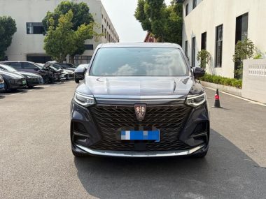 Roewe iMAX8 400TGI Supreme Series Prestige — фото 2