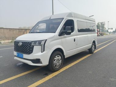 Maxus V80 2024, фото 1