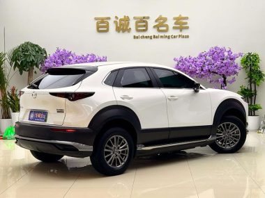 Mazda CX-30 Pure Electric Premium — фото 4