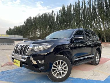 Toyota Prado (Import) 2019, фото 1