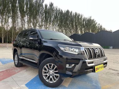 Toyota Prado (Import) 4.0L AT 4WD 7-seat Parallel Import — фото 3