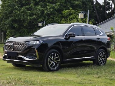 WEY Latte PHEV 2023, фото 1
