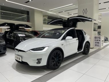 Tesla Model X 2019, фото 1