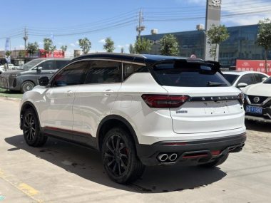 Geely Coolray 240T DCT Diamond — фото 4