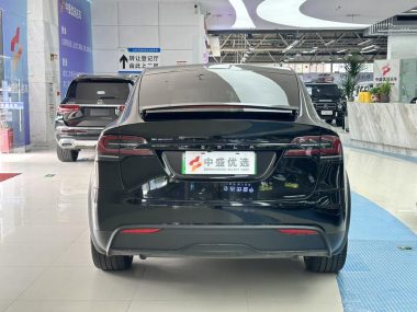 Tesla Model X Dual Motor AWD — фото 3