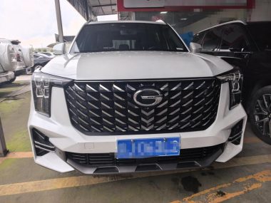 GAC Trumpchi GS8 2.0TGDI 7 — фото 2