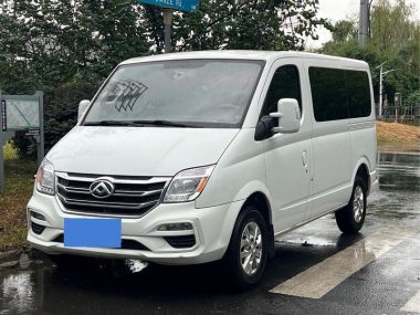 Maxus V80 2022, фото 1