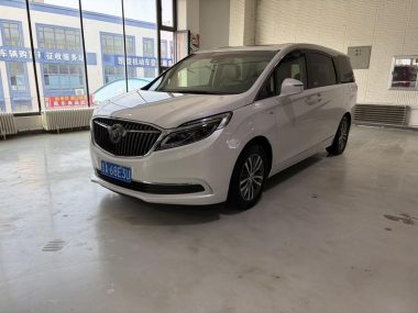 Buick GL8 2020, фото 1