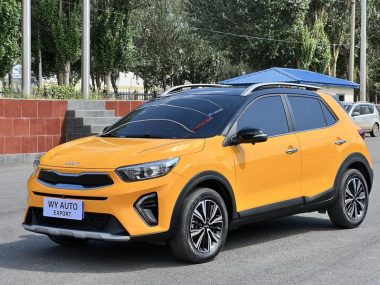 Kia Pegas 2023, фото 1