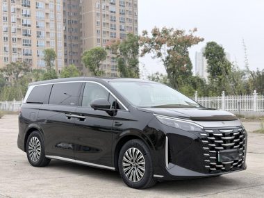 BYD Xia DM-i 180KM — фото 3