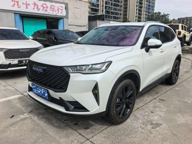Haval H6 2023, фото 1