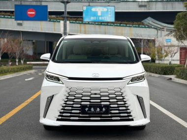 Lexus LM 2024, фото 1