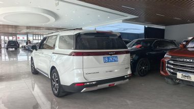 Kia Carnival 2.0T — фото 2
