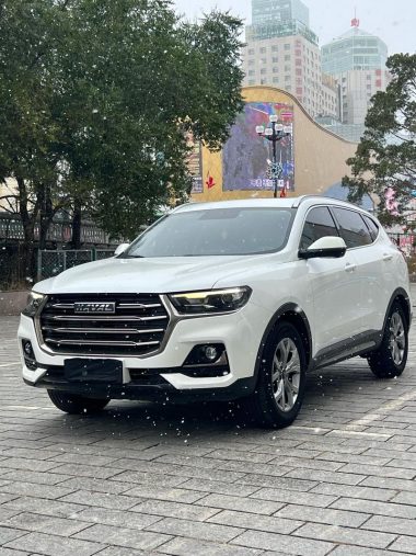 Haval H6 2022, фото 1