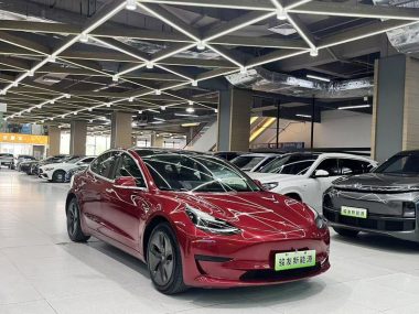 Tesla Model 3 (Import) Standard Range RWD Upgraded — фото 3