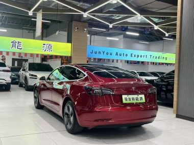 Tesla Model 3 (Import) Standard Range RWD Upgraded — фото 4