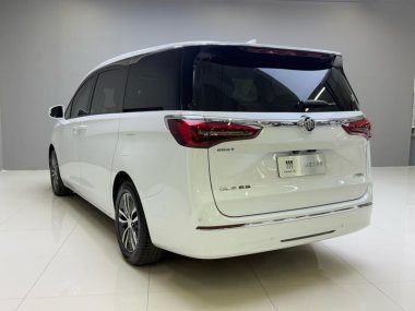 Buick GL8 ES Luzun 653T Premium — фото 4